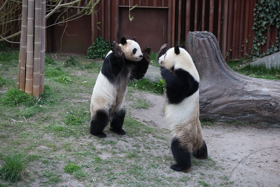 Zoologisk Have København