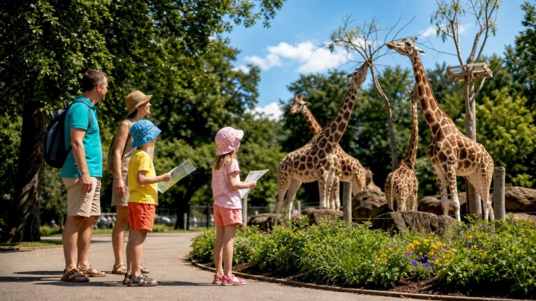 Bedste zoologiske haver i Danmark: Guide 2026