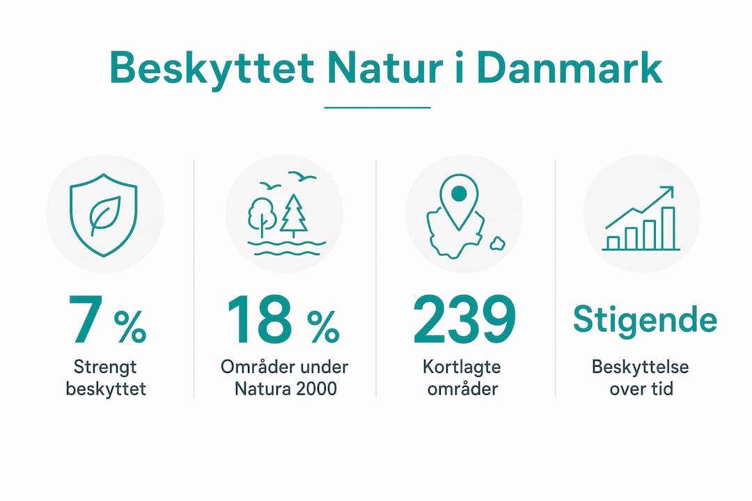 Graphic overview: Important numbers and facts about Denmark's protected nature