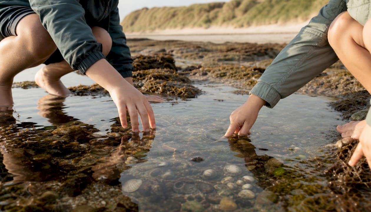 Kinder erkunden Gezeitenbecken an einem dänischen Strand