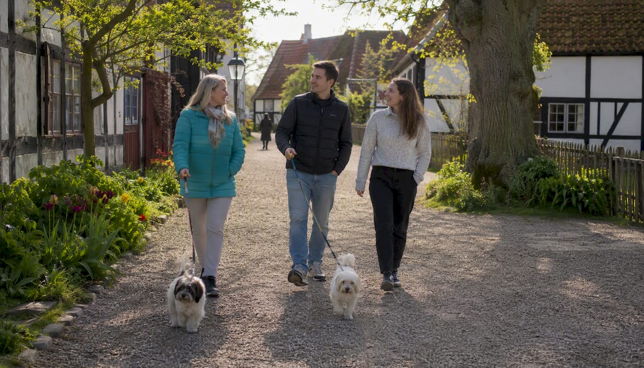 Besucher lassen ihre Hunde in Den Gamle By aus