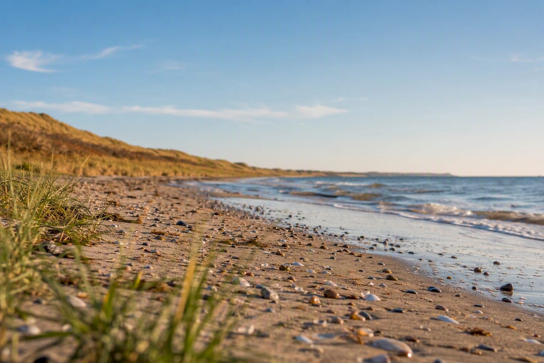 Der Sand am dänischen Strand mit Wellen und Dünen