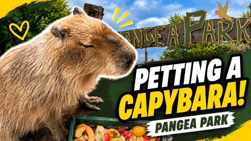 Pangea Park ved Ringsted