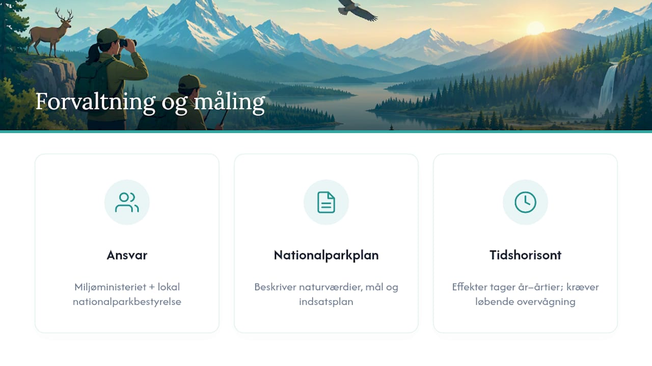 Forvaltning: hvem bestemmer, og hvordan måles fremskridt? — overview diagram