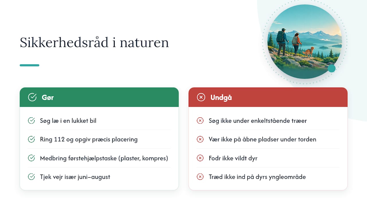 Step 4: safety, weather, and access rules in nature — overview diagram