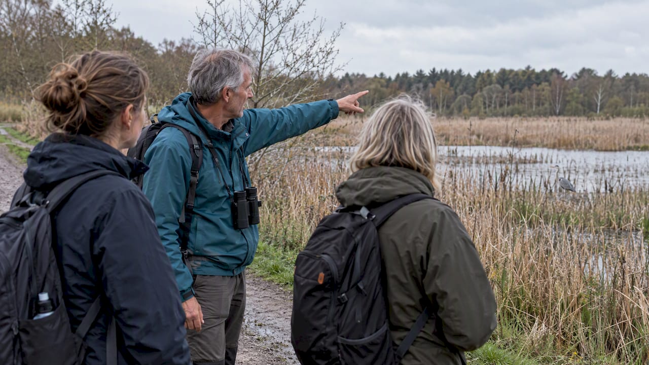 En lokal guide peger på en flok fugle i naturparken