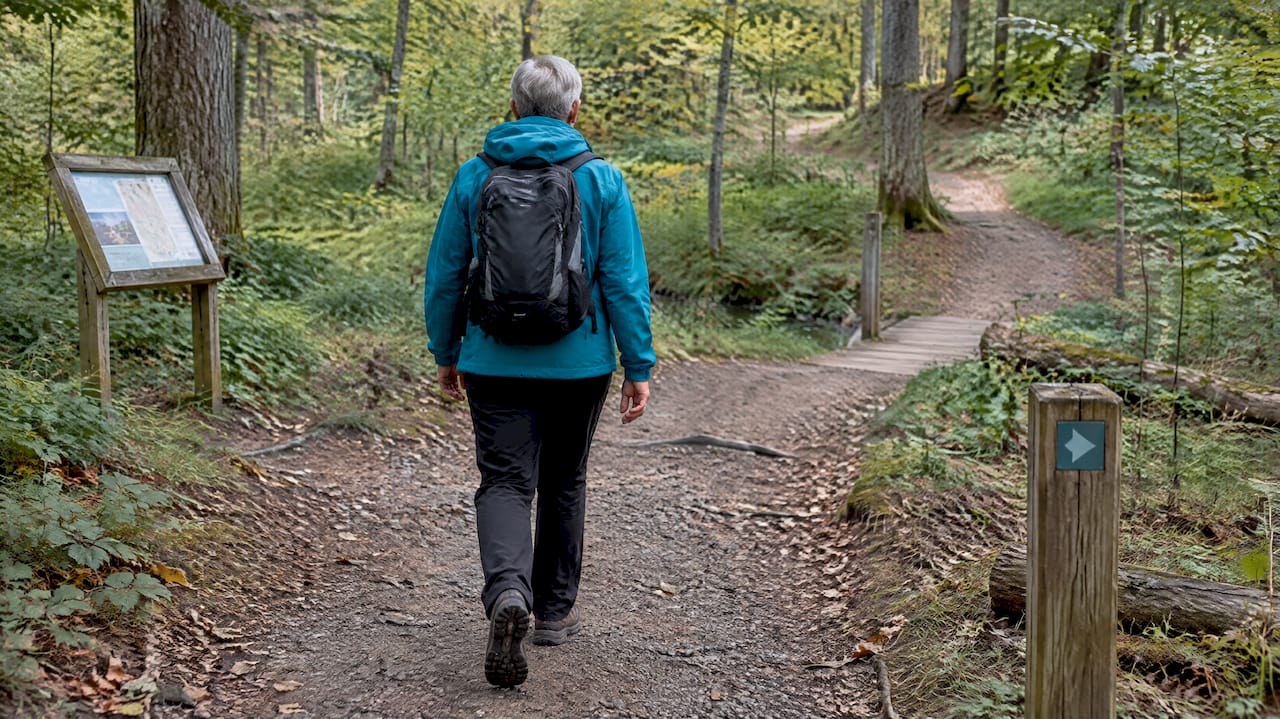 Markierter Wanderweg durch dänischen Wald