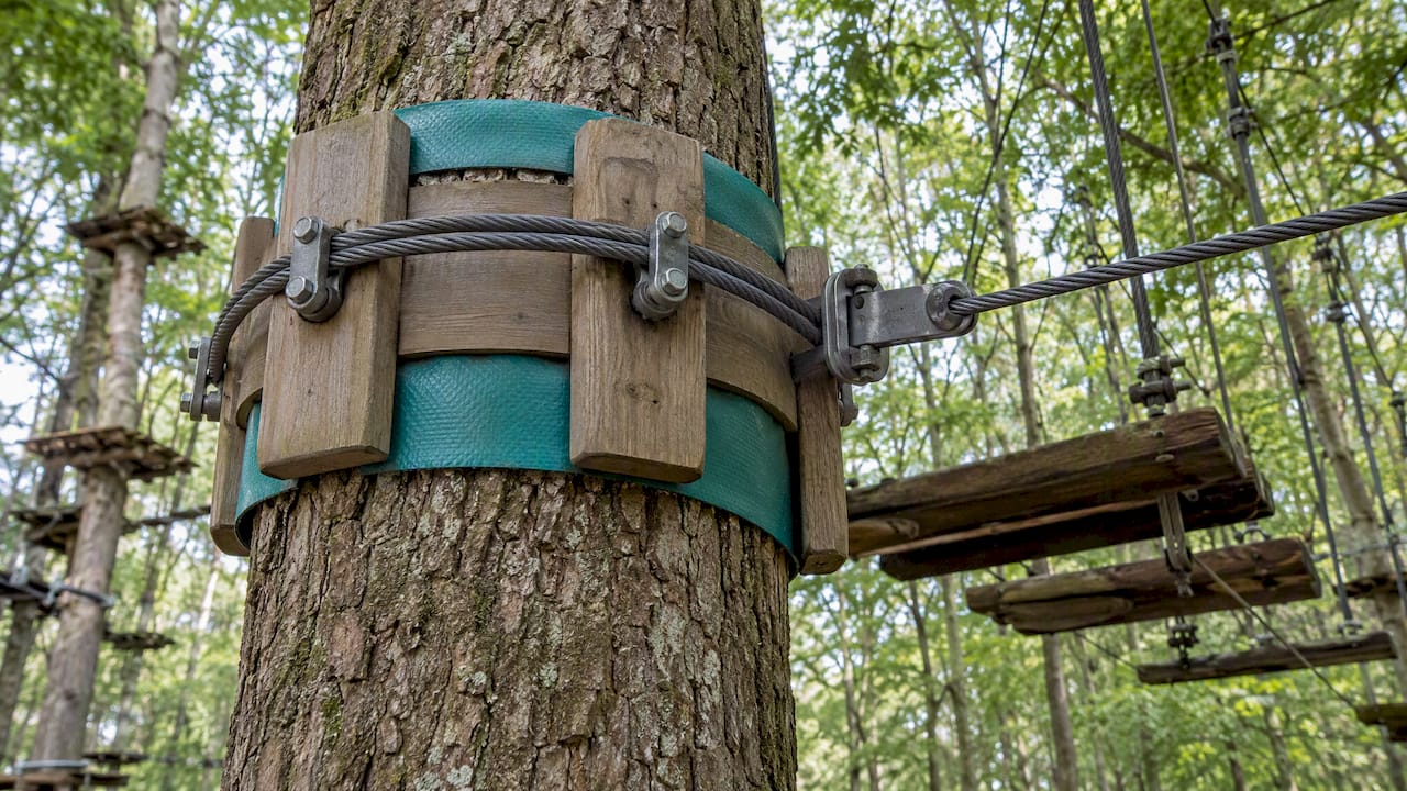 Beskyttende polstring omkring et træophæng på klatrebanen